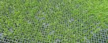 Dopadová plocha Grass [1m2] (1)